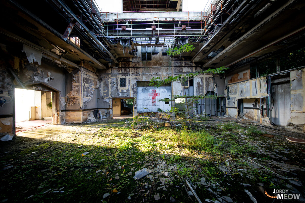 Remnants of Love: Natures Embrace