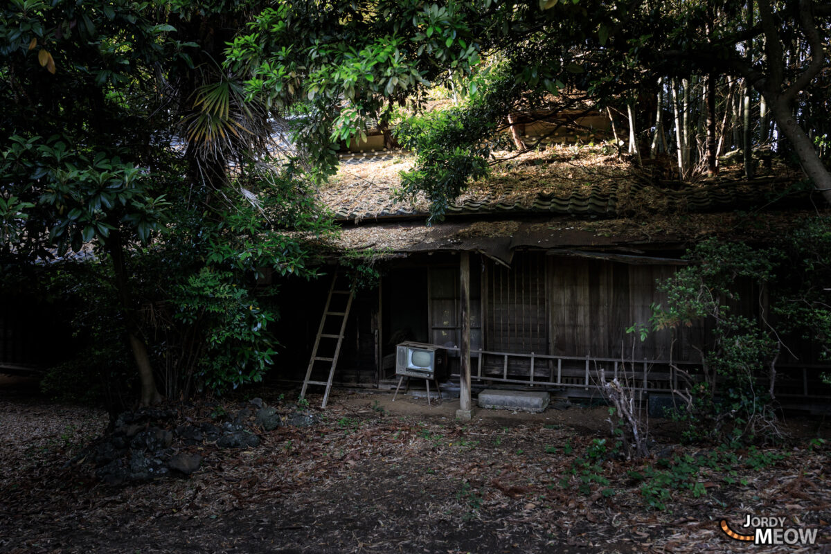 Abandoned Red Villa in Bamboo Forest, Japan