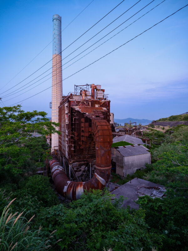 Abandoned factory reclaimed by natures lush greenery.
