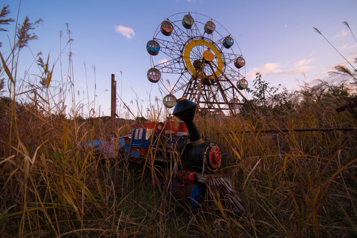 Abandoned Ferris wheel overgrown with tall grass at Kejonuma Leisure Land amusement park.