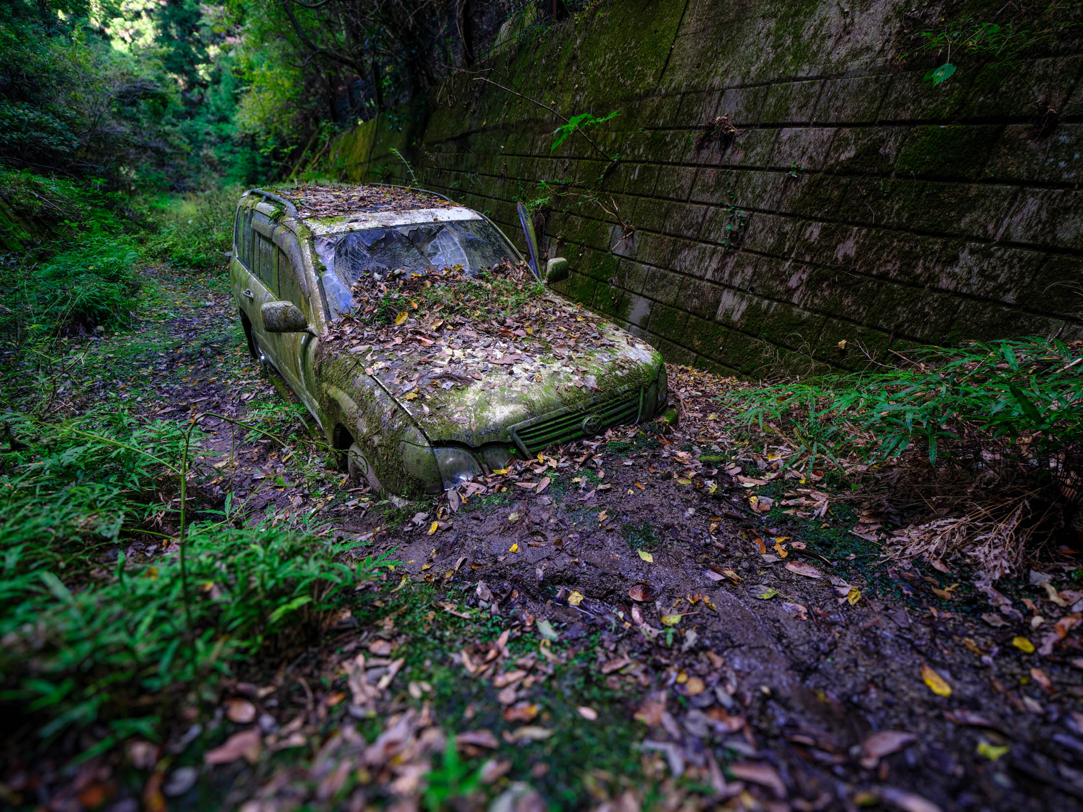 Abandoned Toyota Land Cruiser covered in moss, stuck in muddy forest beside stone wall