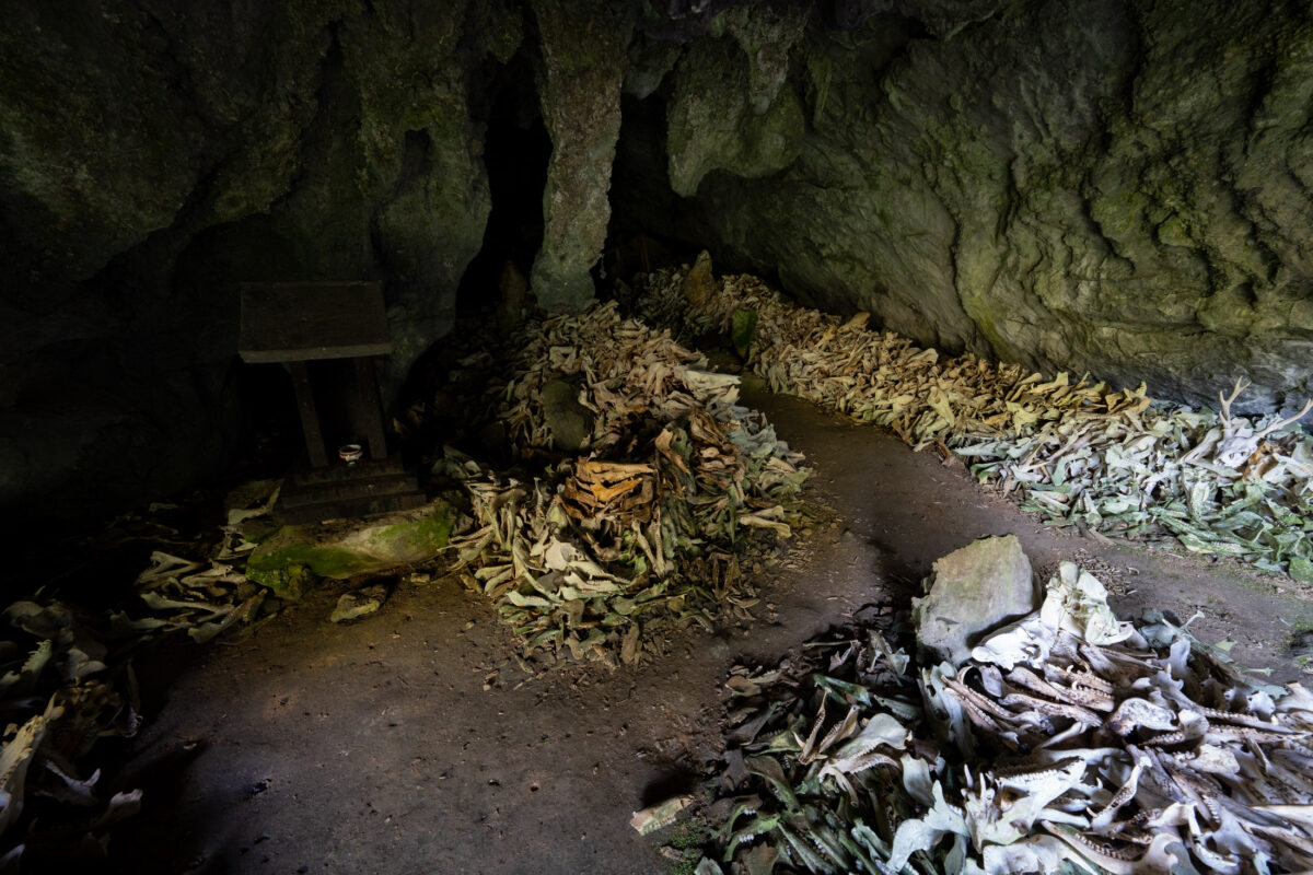Dim cave shrine to Shishi Gongen with wooden altar and dried leaf offerings