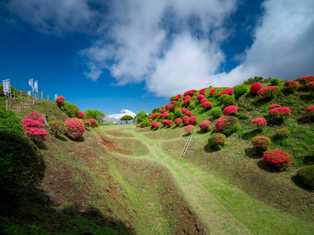 Azalea-lined earthwork moats at Yamanaka Castle Ruins beneath blue sky, distant Mount Fuji