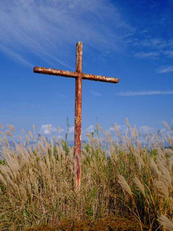 Weathered wooden cross in tall wild grass under blue sky, abandoned church site