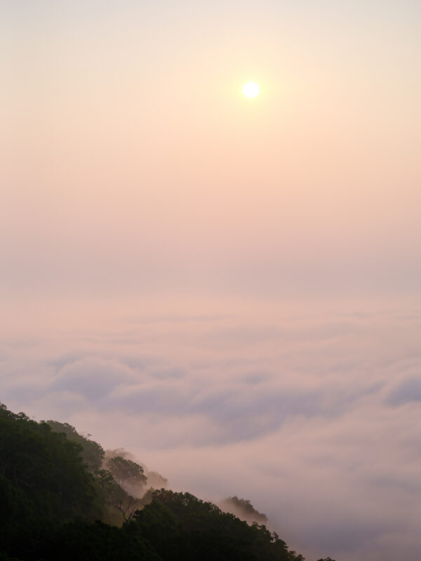 Sunrise over sea of clouds with forested mountain ridges, unkai terrace view