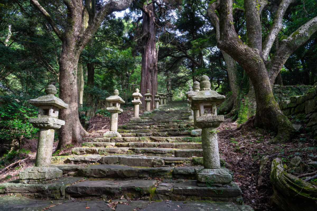 Mossy stone steps and lanterns leading to Banshoin Temple through a forest path.