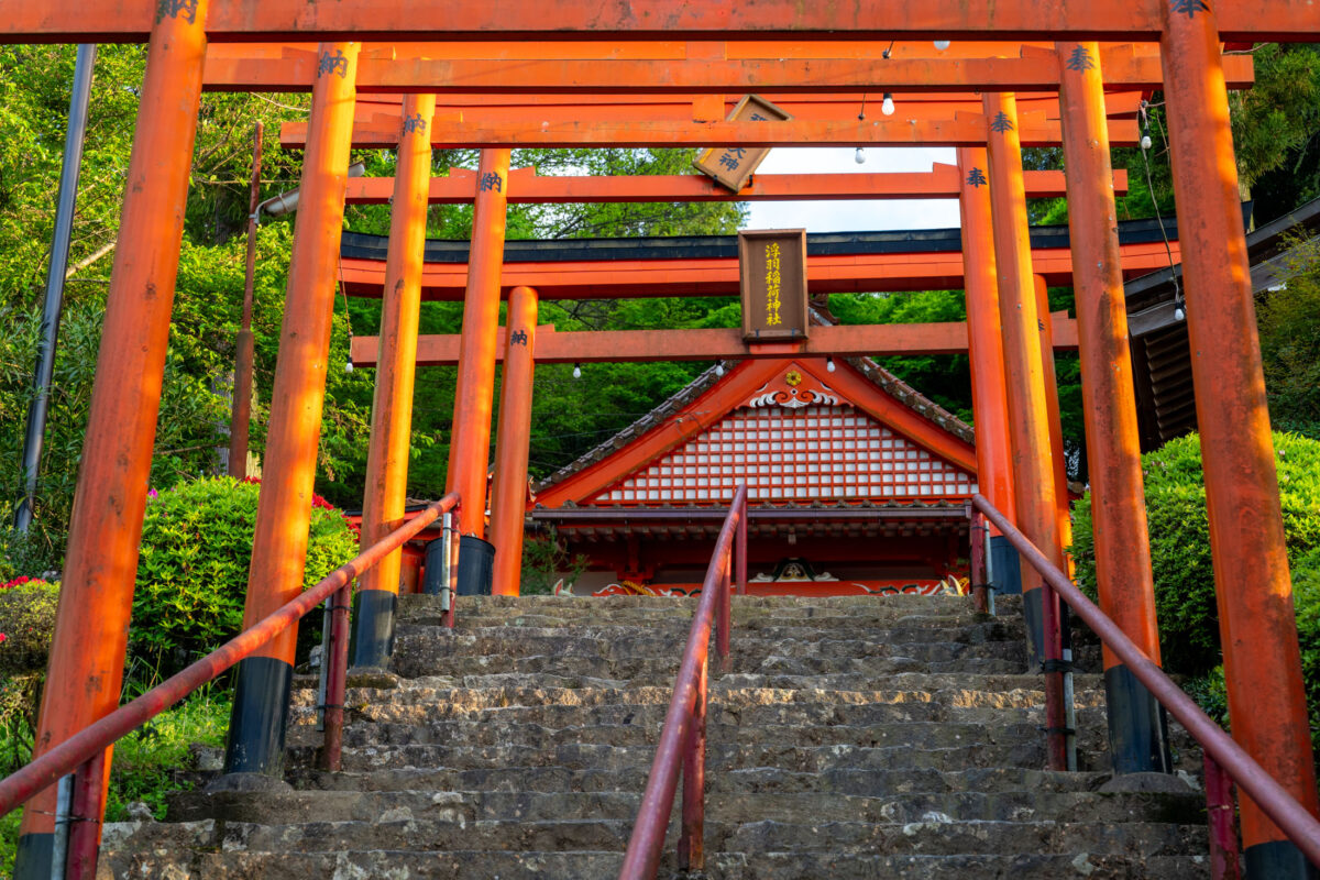 Vermilion torii gates over stone steps leading to Ukiha Inari Shrine in Japan.