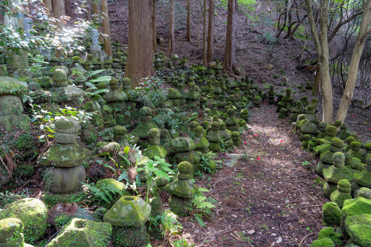 Moss-covered Buddhist stone statues lining a forest path at Kyu-Sento-ji temple ruins.