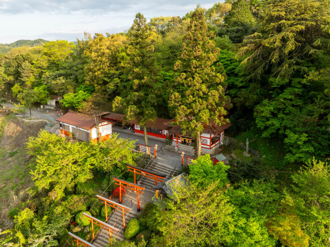 Vermilion torii gates climb forest steps to Ukiha Inari Shrine, Japan