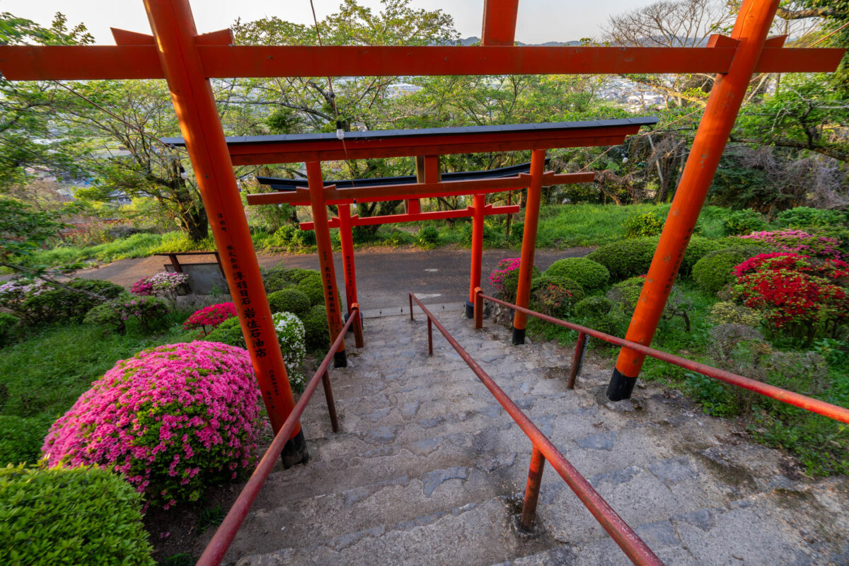 Vermilion torii gate stairway at Ukiha Inari Shrine in Japan surrounded by greenery.