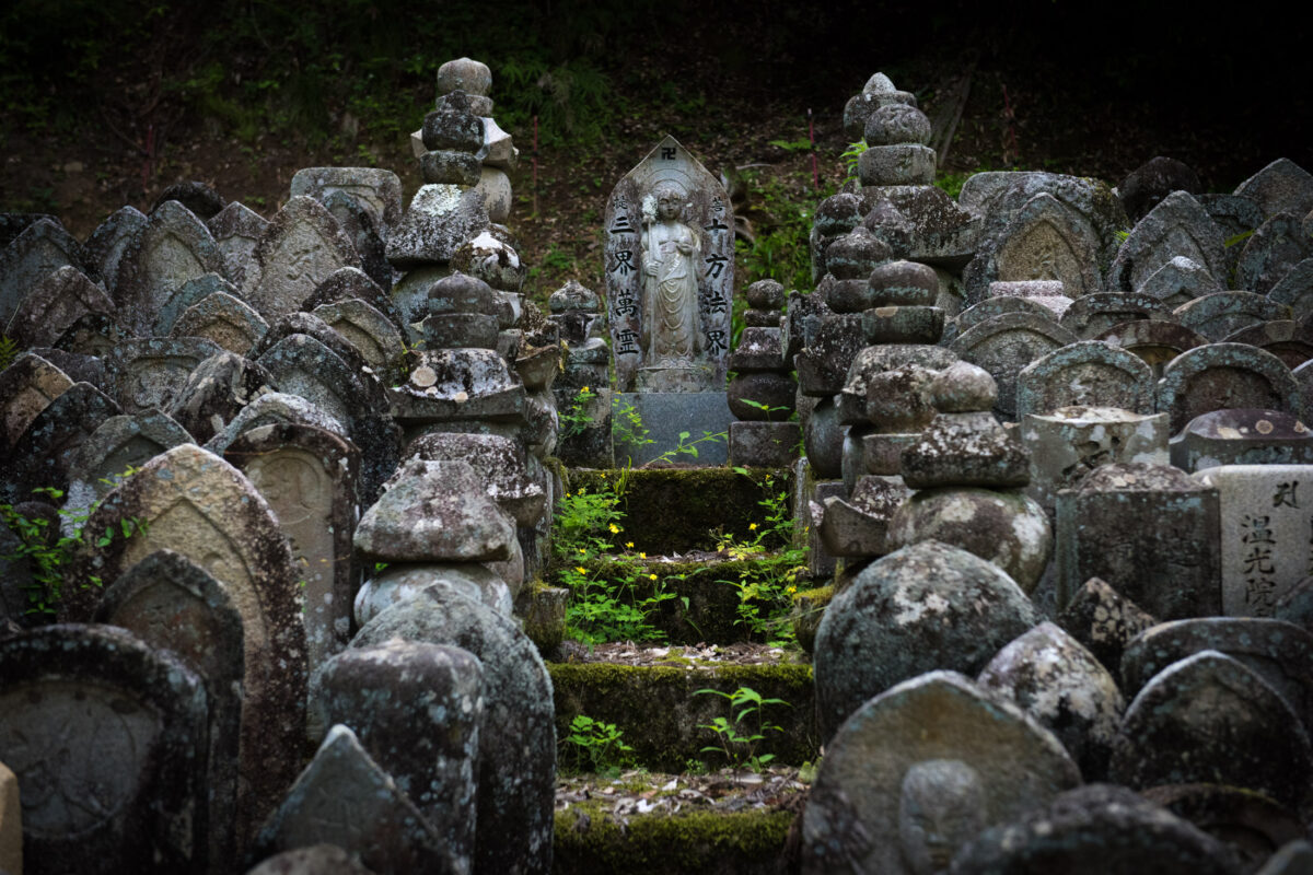 Mossy stone steps leading to a Buddhist statue shrine at Hase-dera Temple, Nara Japan