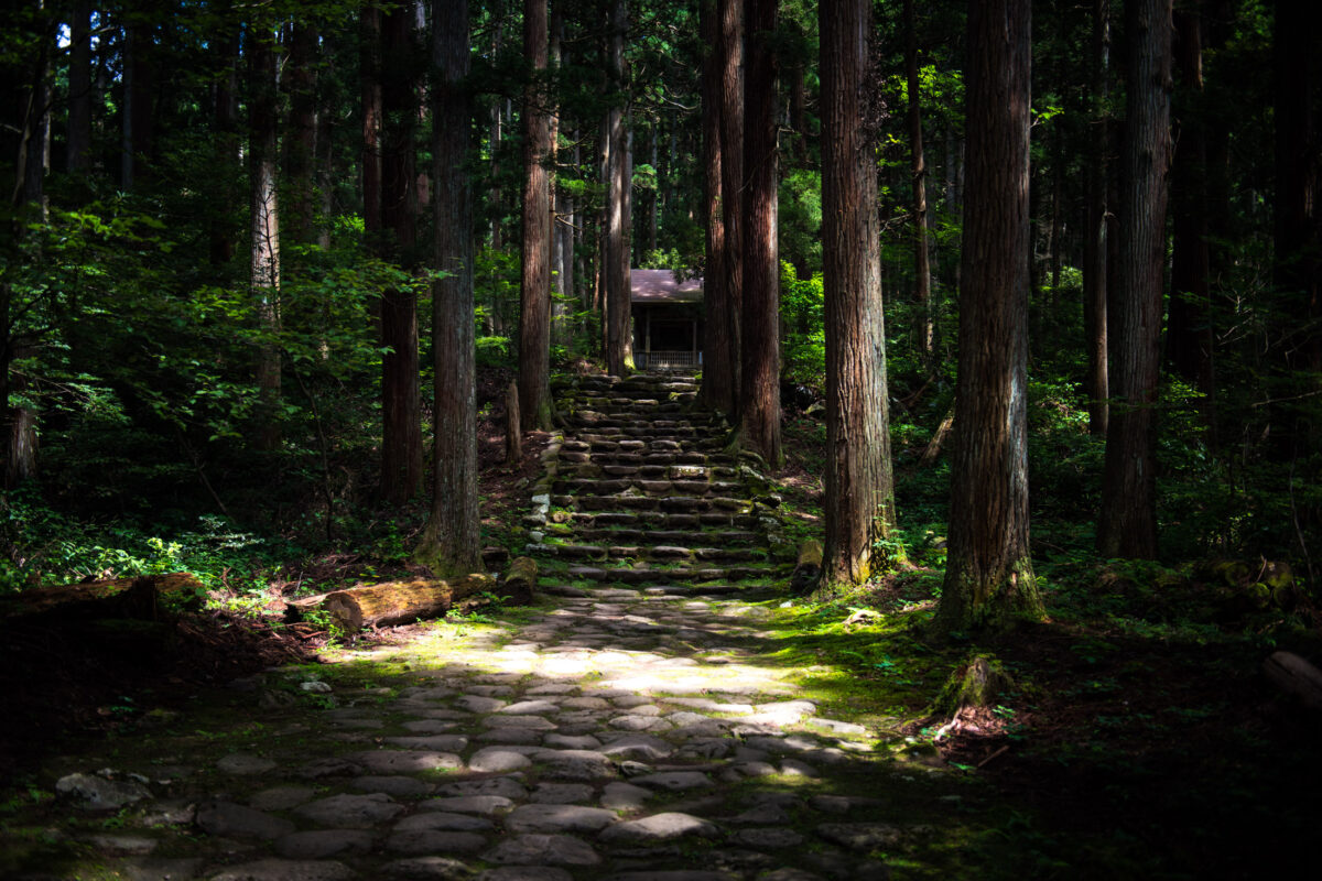 Mossy stone steps through cedar forest leading to Heisenji Hakusan Shrine, Japan