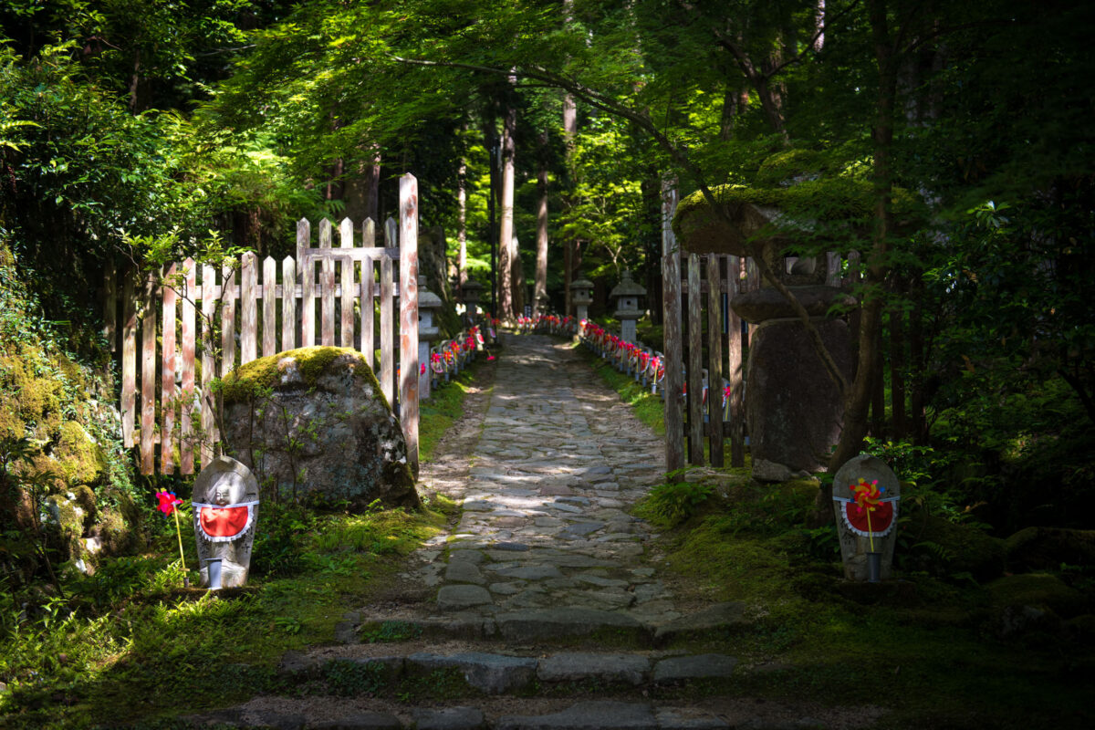 Stone path through forest gate at Kongōrin-ji Temple, lined with red-bibbed Jizo statues