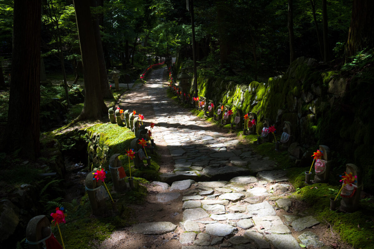 Mossy stone path at Kongōrin-ji Temple lined with Jizō statues in forest shade.
