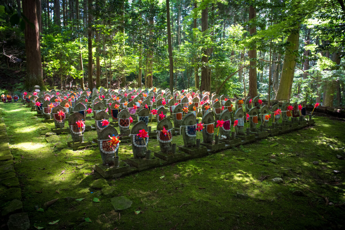 Red-bibbed Jizo statues in a mossy forest at Kongo-rin-ji Temple, Shiga, Japan.