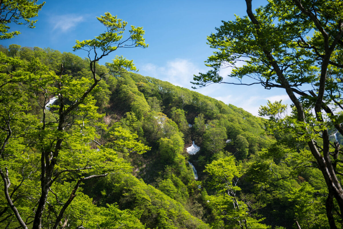 Mount Futatsumori mountain view framed by forest, with a thin waterfall under blue sky.