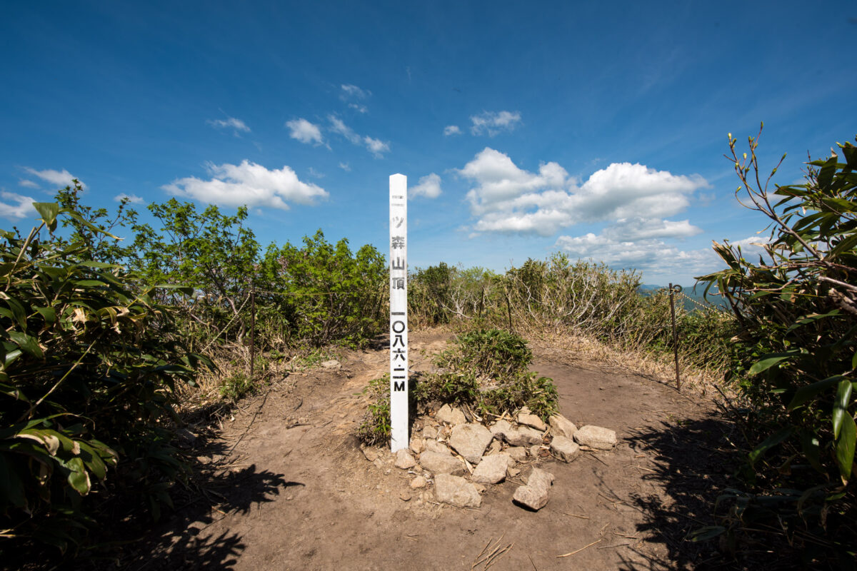 Mount Futatsumori summit marker on rocky trail surrounded by shrubs under blue sky