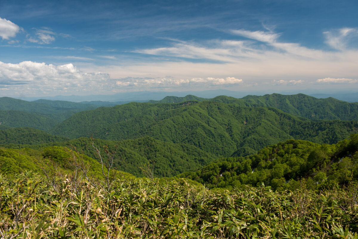Panoramic summit view from Mount Futatsumori overlooking forested mountain ridges under blue sky