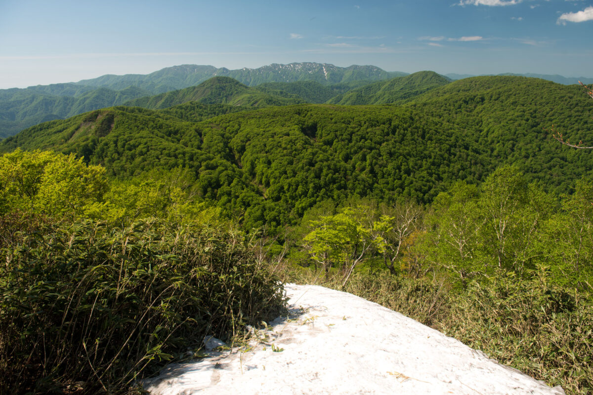 Panoramic summit view from Mount Futatsumori with forested ridges and clear blue sky