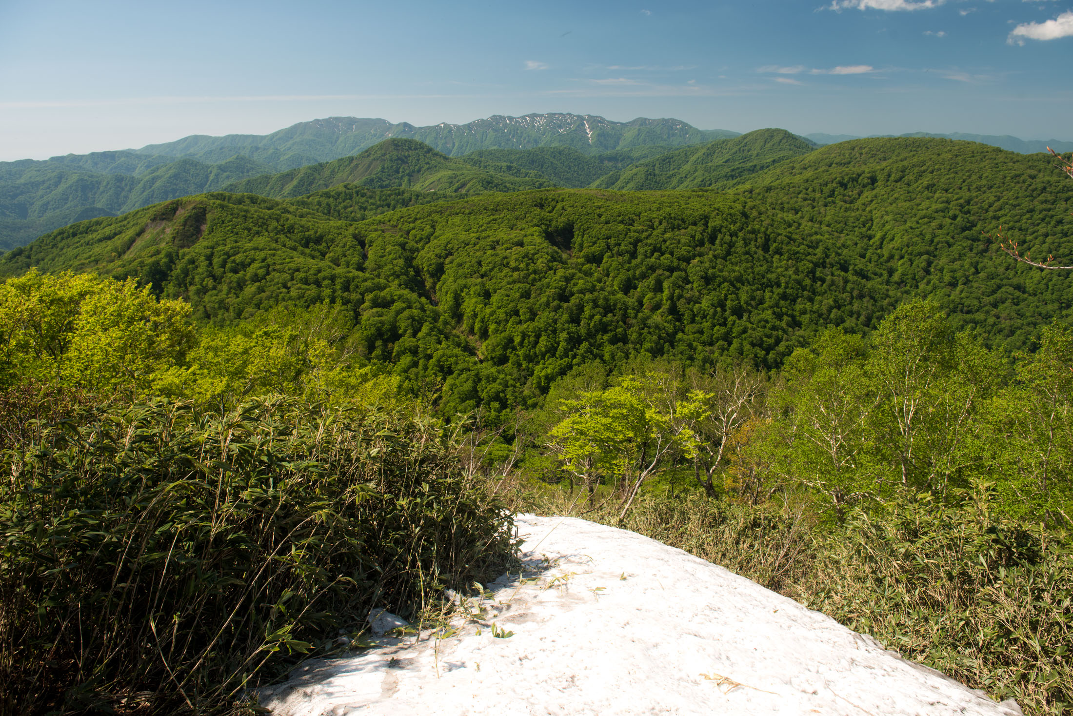 Panoramic summit view from Mount Futatsumori with forested ridges and clear blue sky
