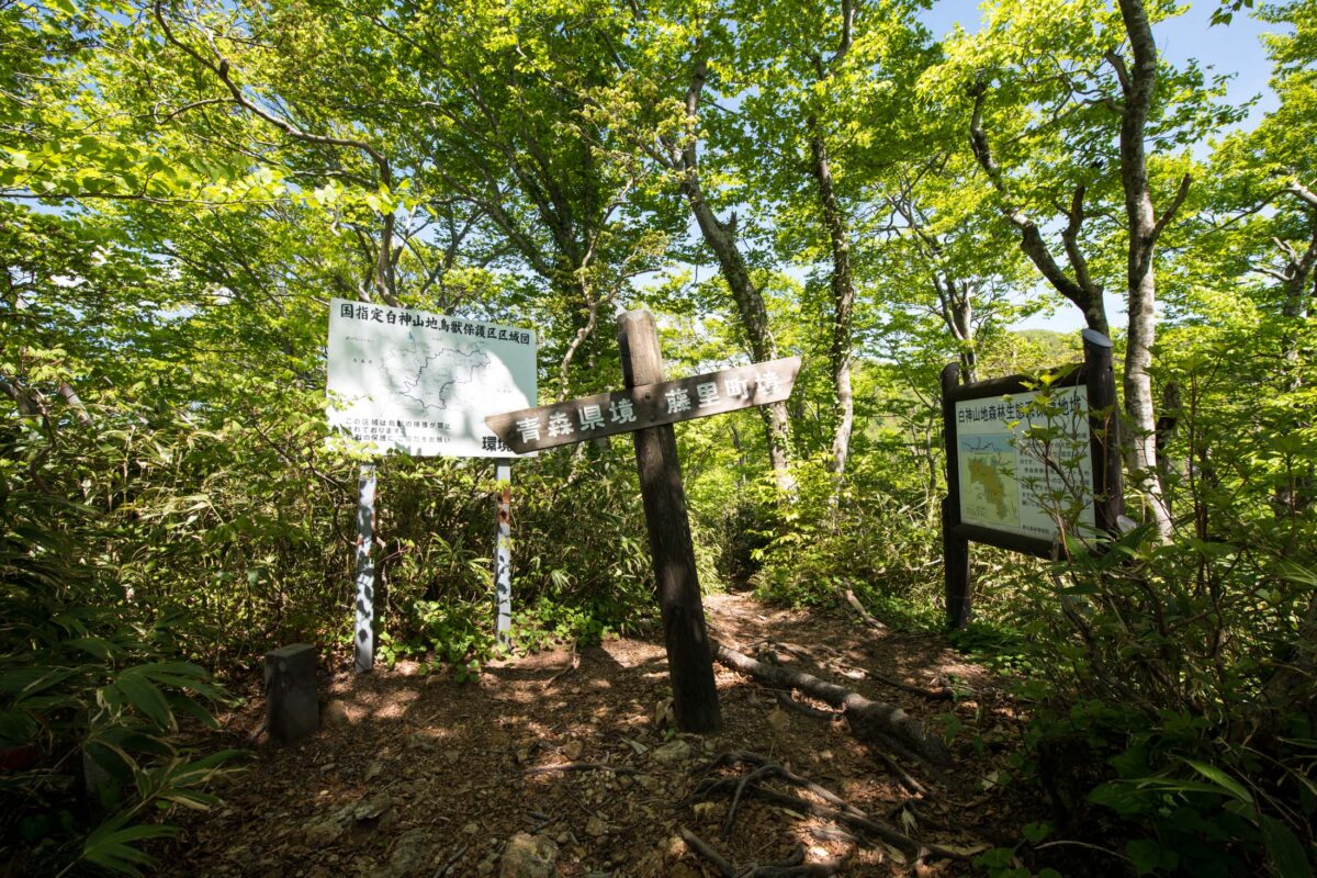 Weathered trail signpost at Mount Futatsumori forest junction with map boards and sunlight