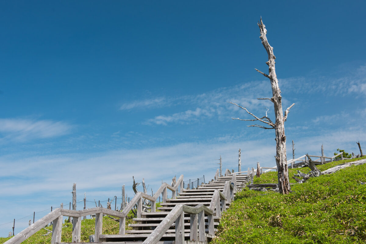 Weathered wooden boardwalk stairs on Mount Ōdaigahara highlands under blue sky