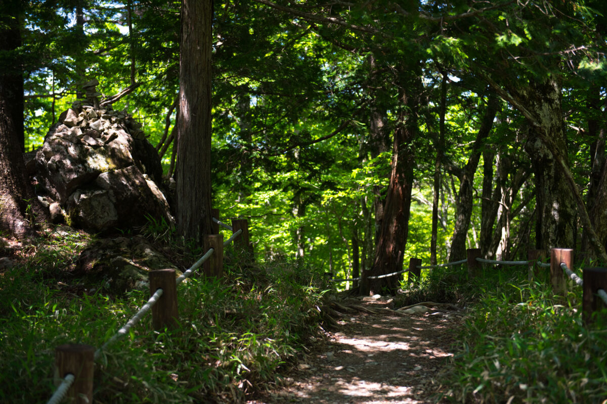 Wooden-railed hiking trail through lush Mount Odaigahara forest in Japan