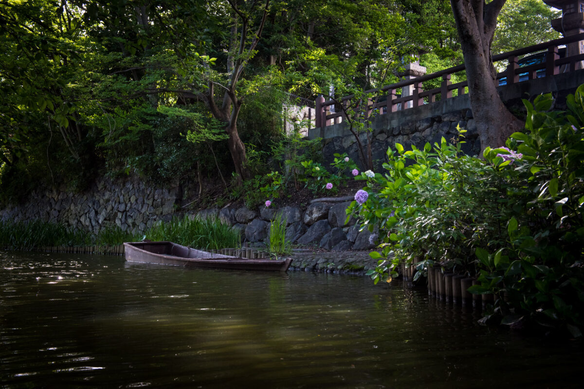 Wooden boat on shaded Omihachiman canal, stone embankment, hydrangeas, Japan.