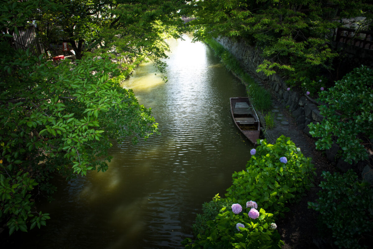 Serene Omihachiman canal in Japan with moored wooden boat, stone embankment, and hydrangeas.