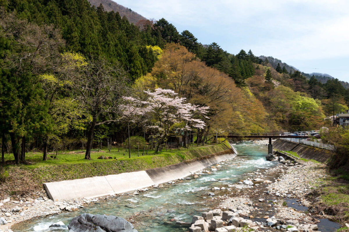 Turquoise river valley near Sekizenkan Ryokan, Japan, with spring trees and distant bridge.