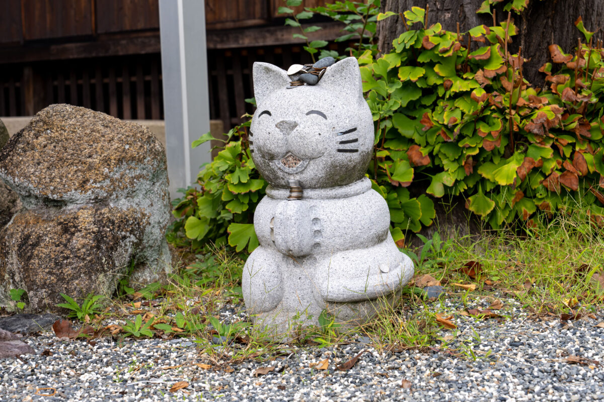 Weathered stone cat statue with coin offerings, surrounded by vines in Naoshima, Japan.