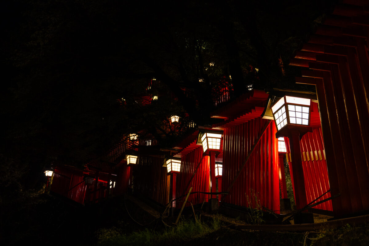 Vermilion torii gate tunnel at Taikodani Inari Shrine, illuminated by lanterns at night.