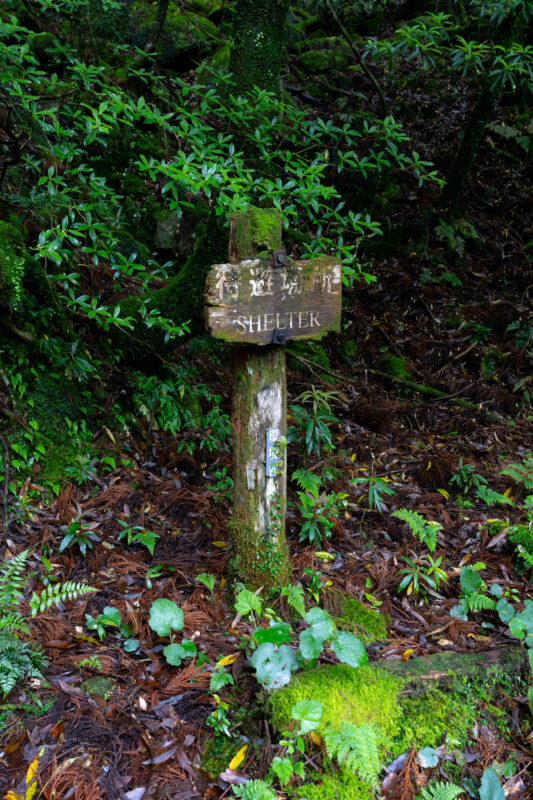 Mossy wooden trail sign pointing to Ishizuka in dense green forest foliage.