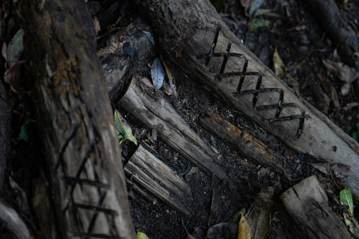 Close-up of weathered wooden steps on a damp Shiratani Unsui Gorge forest trail, Japan.