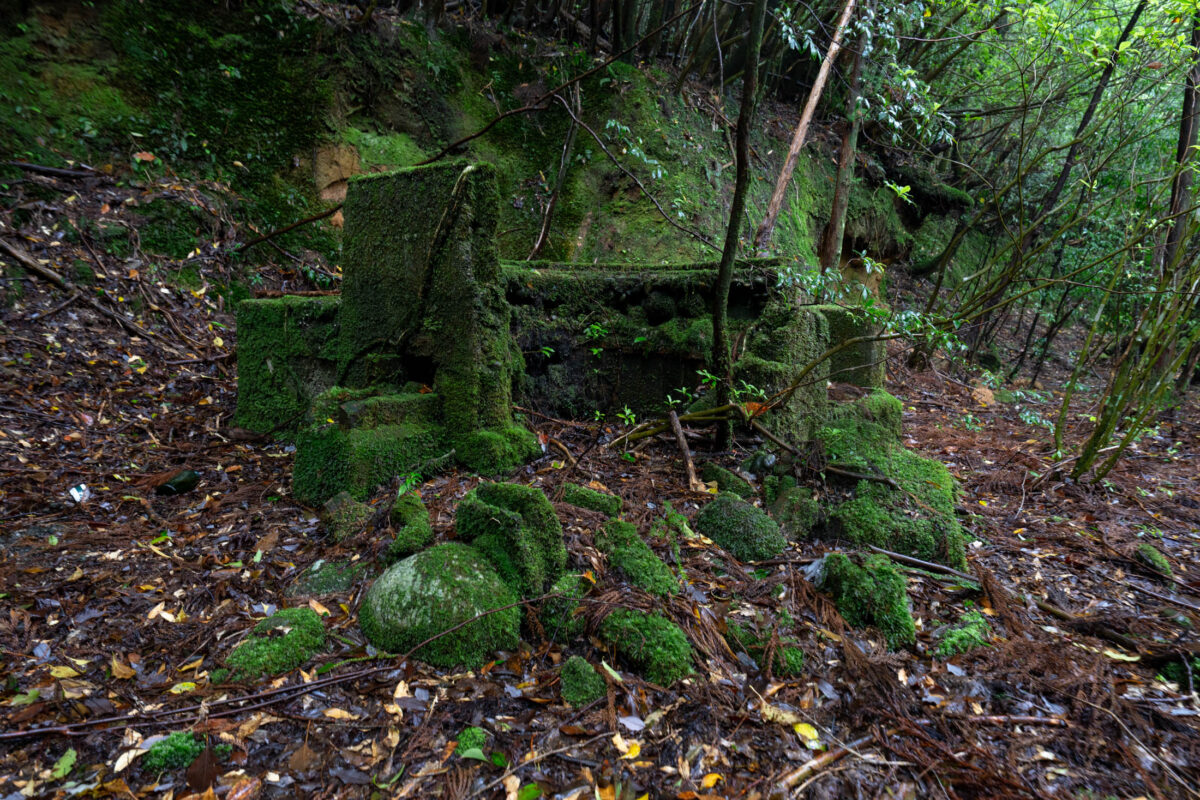 Moss-covered concrete ruins in a shaded forest, soft light filtering through trees.