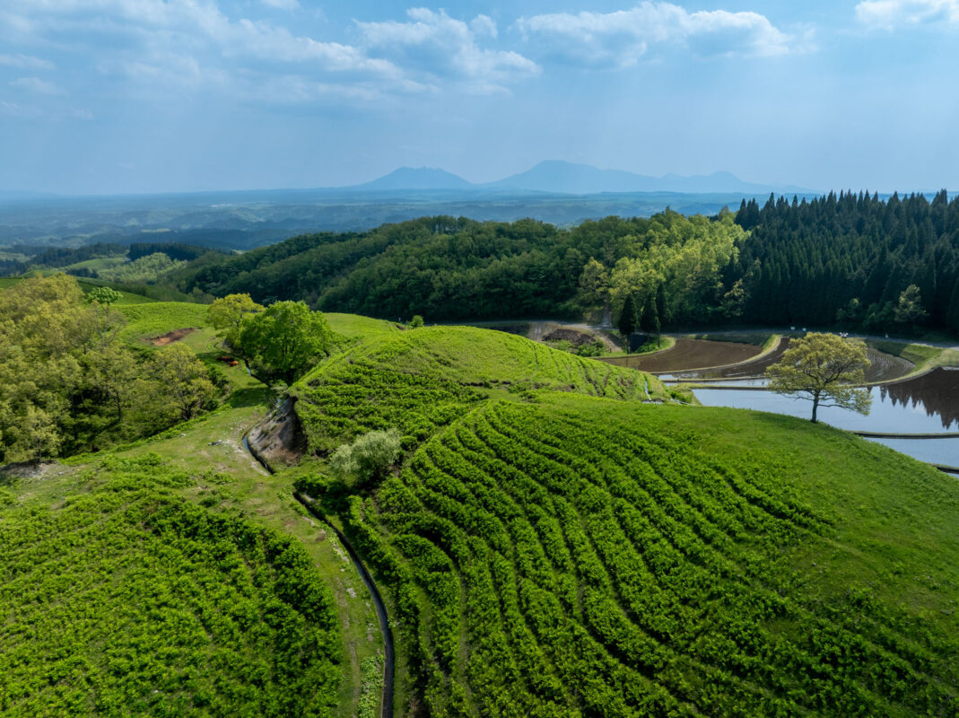Ogi rice terraces and irrigation pond on rolling green hills under bright sky