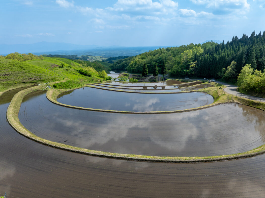 Ogi rice terraces with water reflections, curved paddies on a green hillside in Japan
