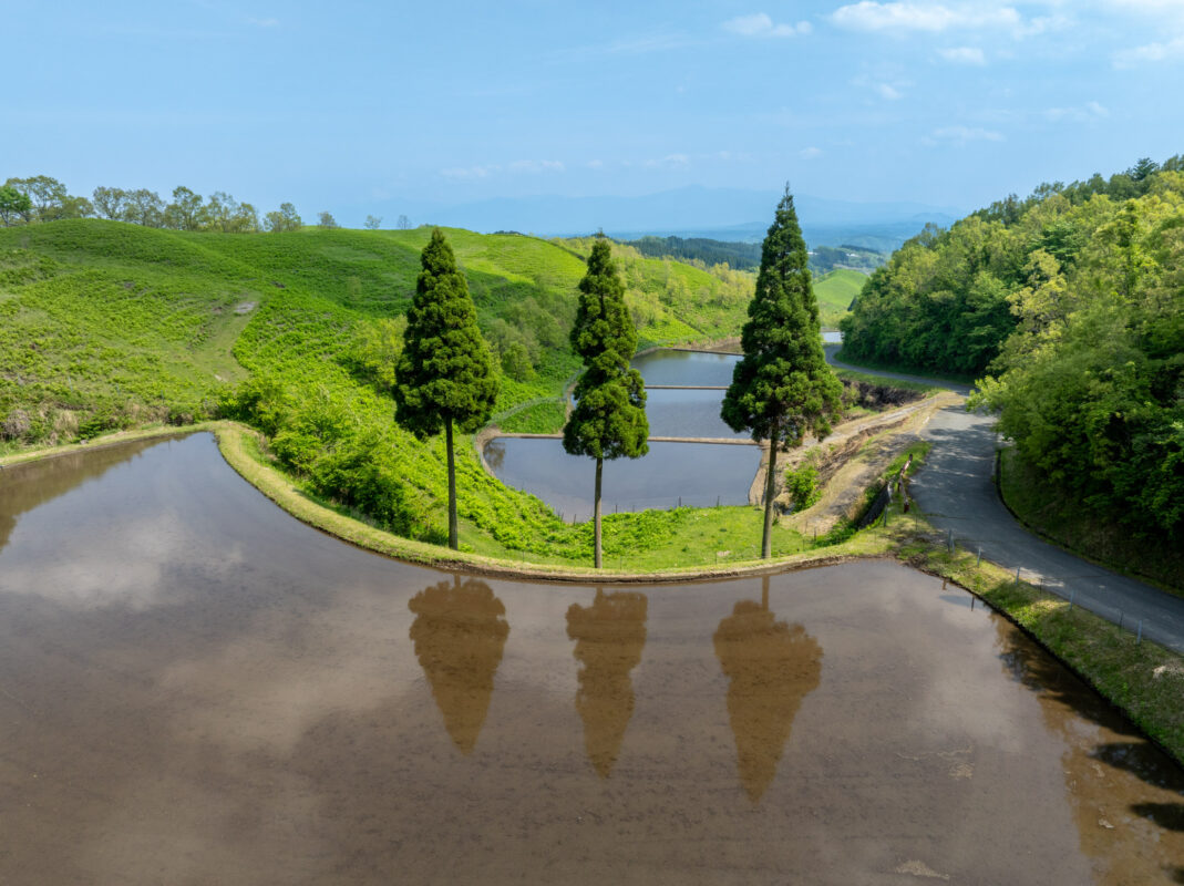 Water-filled Ogi rice terraces reflecting trees and sky, road winding through green hills.