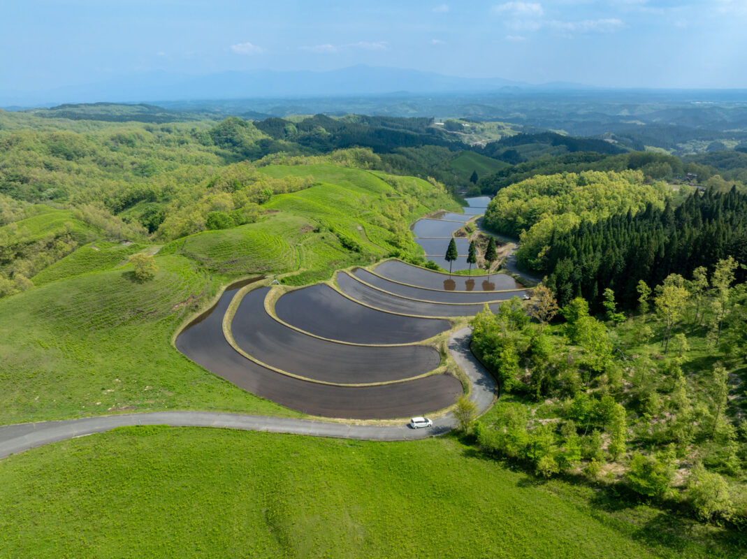 Aerial view of Ogi terraced rice paddies curving through green hills in Japan