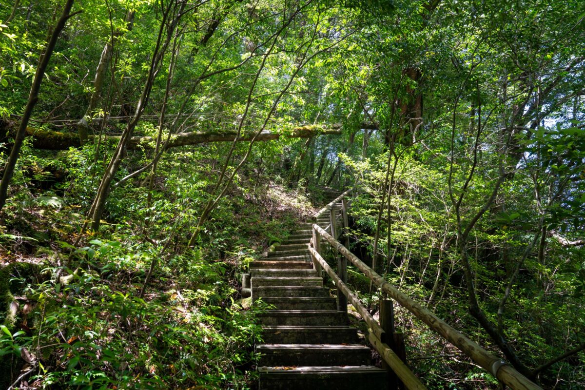 Stone steps with wooden rail winding through lush Shiratani Unsui Gorge forest in Japan.