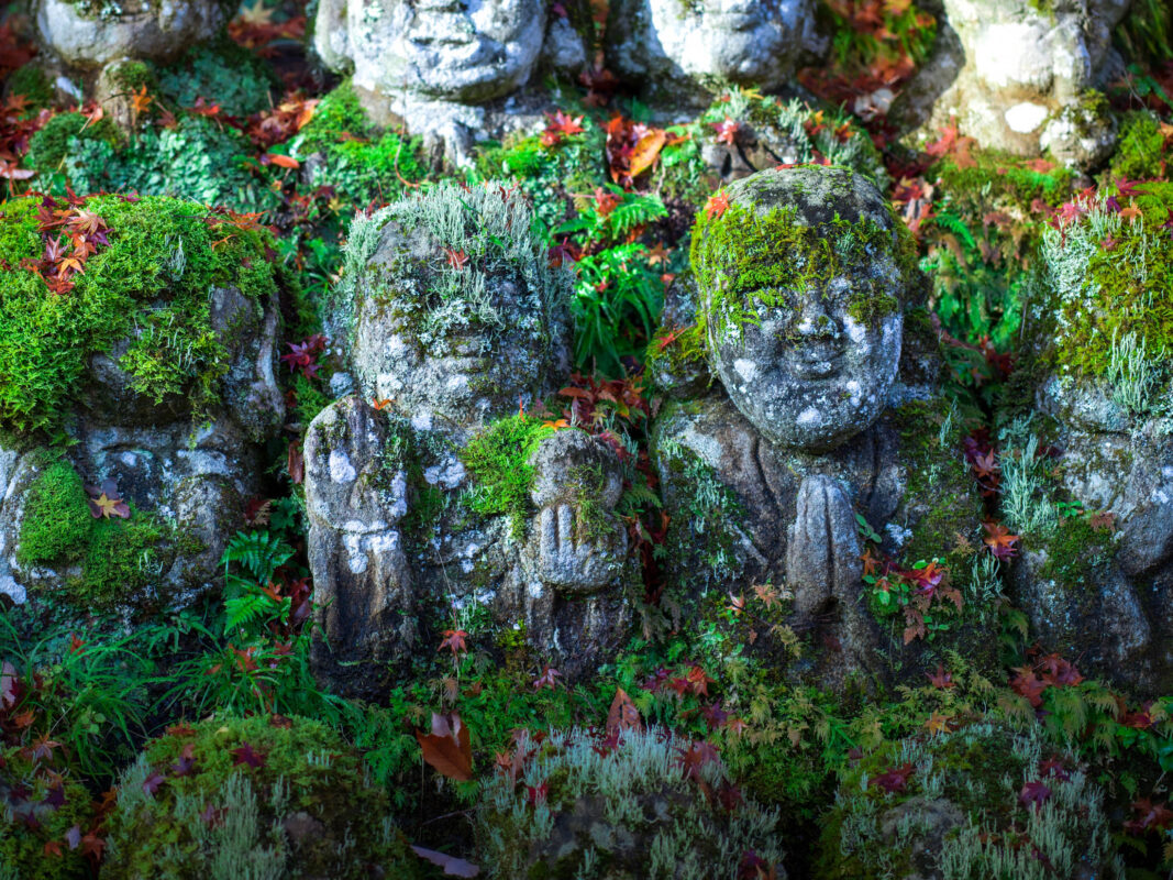 Moss-covered Buddha statues at Otagi Nenbutsu-ji Temple, Kyoto, with autumn leaves