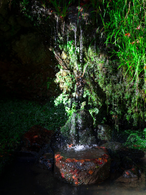 Moss-covered stone fountain trickling into basin at Otagi Nenbutsu-ji Temple, Kyoto