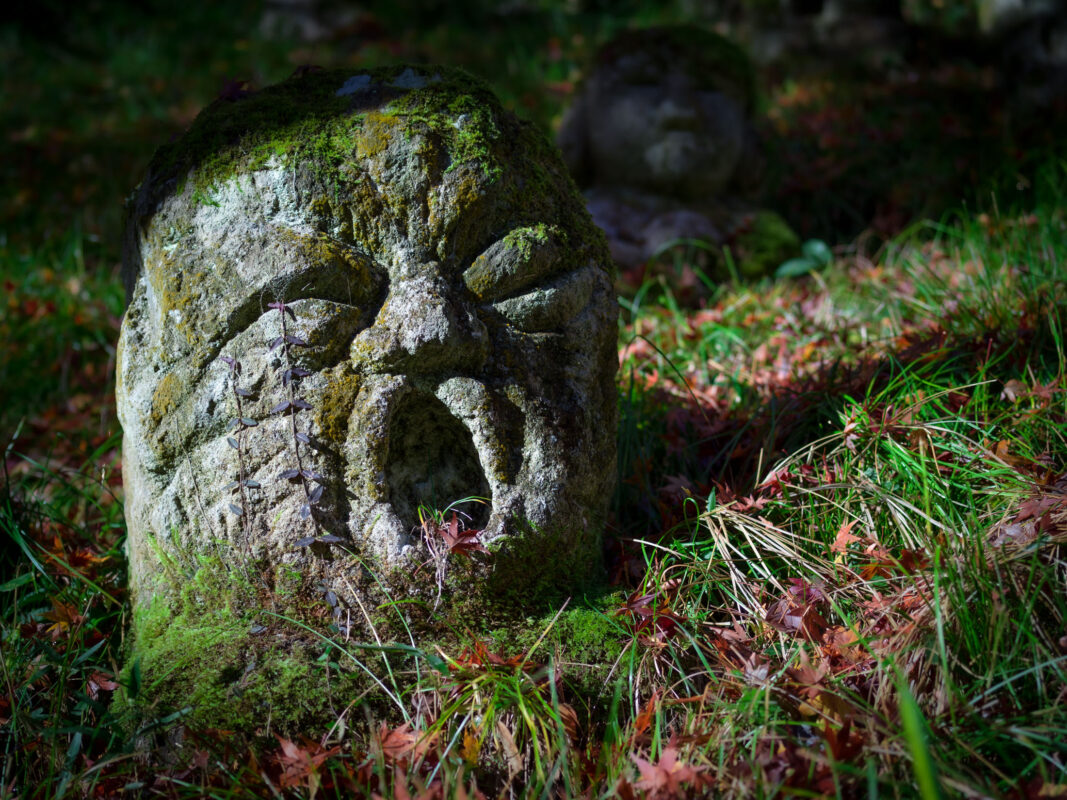 Weathered moss-covered stone Buddha face on forest floor at Otagi Nenbutsu-ji, Kyoto.
