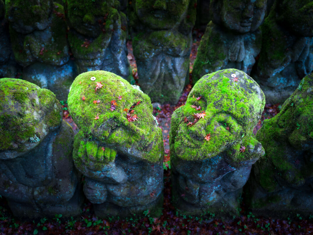Moss-covered Buddhist stone statues at Otagi Nenbutsu-ji Temple, Kyoto, with serene faces.